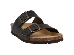 CIABATTA THESIS  R IMB V. CR.HORSE V.BOSCO